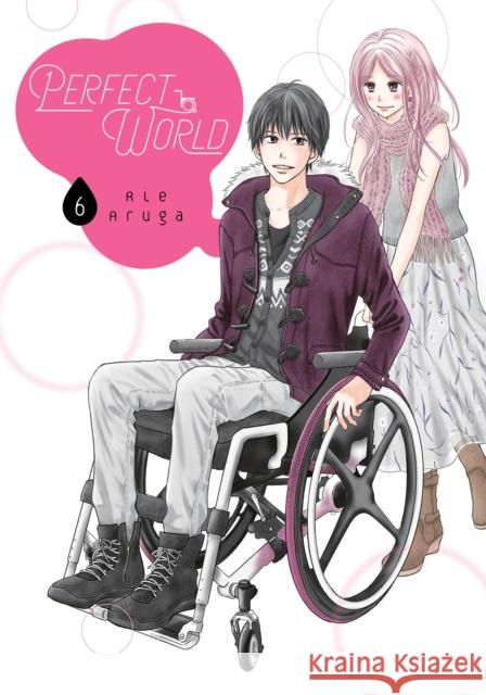 Perfect World 6 Rie Aruga 9781646511068 Kodansha Comics - książka