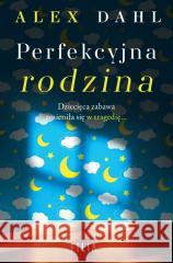 Perfekcyjna rodzina Alex Dahl 9788384025093 Filia - książka