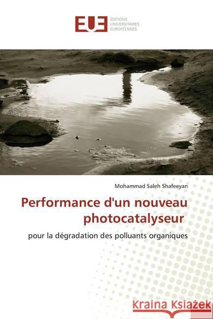 Performance d'un nouveau photocatalyseur : pour la dégradation des polluants organiques Shafeeyan, Mohammad Saleh 9786139561223 Éditions universitaires européennes - książka