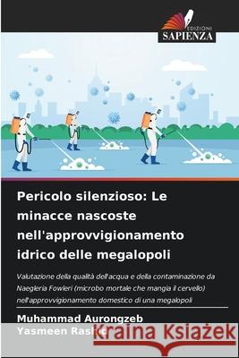 Pericolo silenzioso: Le minacce nascoste nell'approvvigionamento idrico delle megalopoli Aurongzeb, Muhammad, Rashid, Yasmeen 9786209105500 Edizioni Sapienza - książka