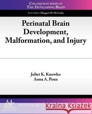 Perinatal Brain Development, Malformation, and Injury Juliet K. Knowles Anna A. Penn 9781615043422 Biota Publishing - książka