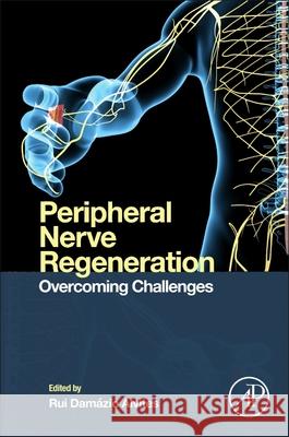 Peripheral Nerve Regeneration: Overcoming Challenges Rui Dam?zio Alvites 9780443330223 Academic Press - książka