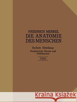 Peripherische Nerven, Gefäßsystem: Inhalt Der Körperhöhlen Merkel, Friedrich 9783642989179 Springer - książka