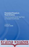 Persistent Poverty in Rural America: Rural Sociological Society Task Force on Persistent Rural Poverty Castle, Emery N. 9780367282646 Routledge