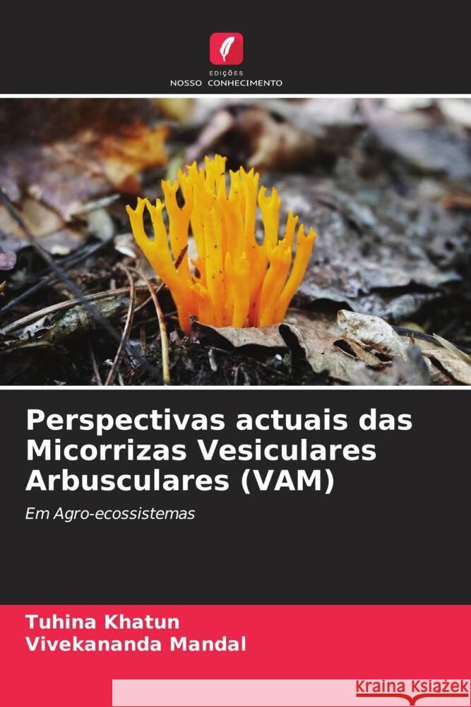 Perspectivas actuais das Micorrizas Vesiculares Arbusculares (VAM) Khatun, Tuhina, Mandal, Vivekananda 9786205171035 Edições Nosso Conhecimento - książka