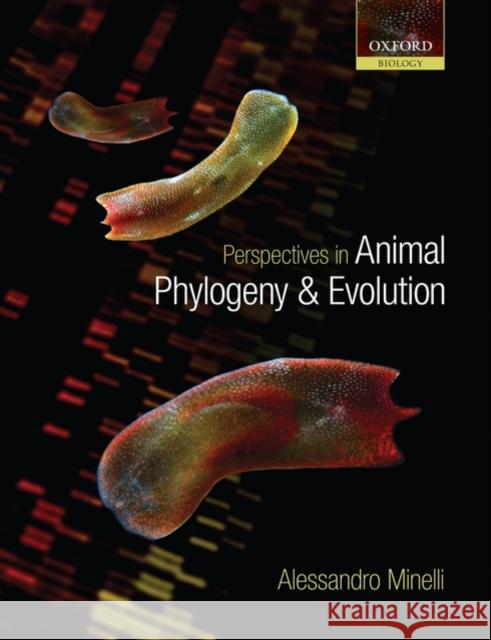 Perspectives in Animal Phylogeny and Evolution Alessandro Minelli 9780198566205 Oxford University Press, USA - książka