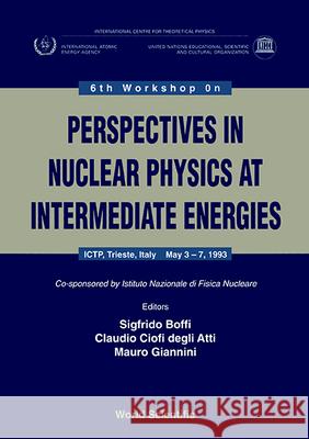 Perspectives in Nuclear Physics at Intermediate Energy - Proceedings of the 6th Workshop Sigfrido Boffi Mauro Giannini Claudio Ciofi Degl 9789810216887 World Scientific Publishing Company - książka