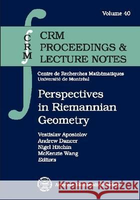 Perspectives in Riemannian Geometry  9780821838525 AMERICAN MATHEMATICAL SOCIETY - książka