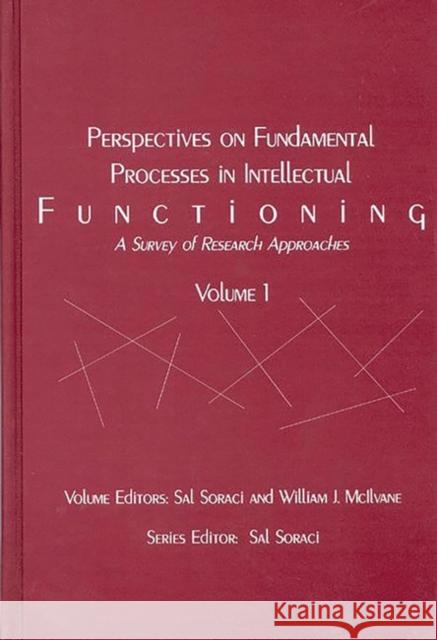 Perspectives on Fundamental Processes in Intellectual Functioning, Volume 1: A Survey of Research Approaches Soraci, Sal 9781567503586 Ablex Publishing Corporation - książka