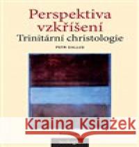 Perspektiva vzkříšení Petr Gallus 9788024651545 Karolinum - książka