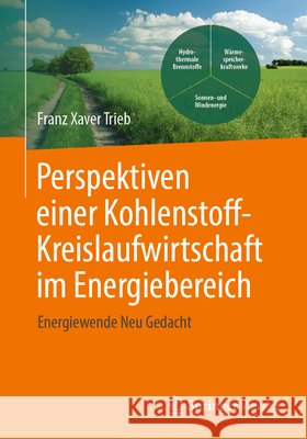Perspektiven Einer Kohlenstoffkreislaufwirtschaft Im Energiebereich: Energiewende Neu Gedacht Franz Xaver Trieb 9783658505509 Springer Vieweg - książka