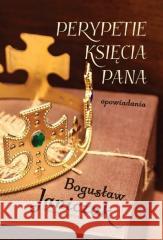 Perypetie księcia Pana. Opowiadania JANICZAK BOGUSŁAW 9788367877022 KRYWAJ - książka