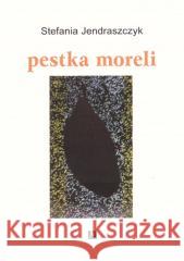 pestka moreli Stefania Jendraszczyk 9788368273045 Anagram - książka