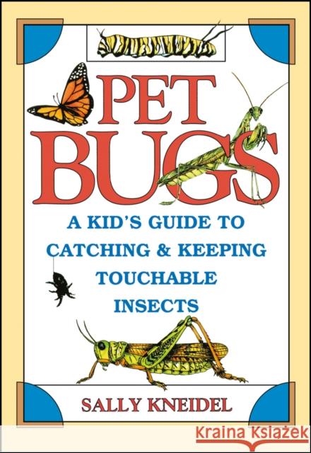 Pet Bugs: A Kid's Guide to Catching and Keeping Touchable Insects Kneidel, Sally 9780471311881 Jossey-Bass - książka