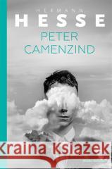 Peter Camenzin Hesse Hermann 9788380089396 Media Rodzina - książka