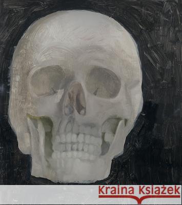 Peter Dreher: Behind the Mirror Von Neuendorff, Irene 9783868323948 Wienand Verlag - książka