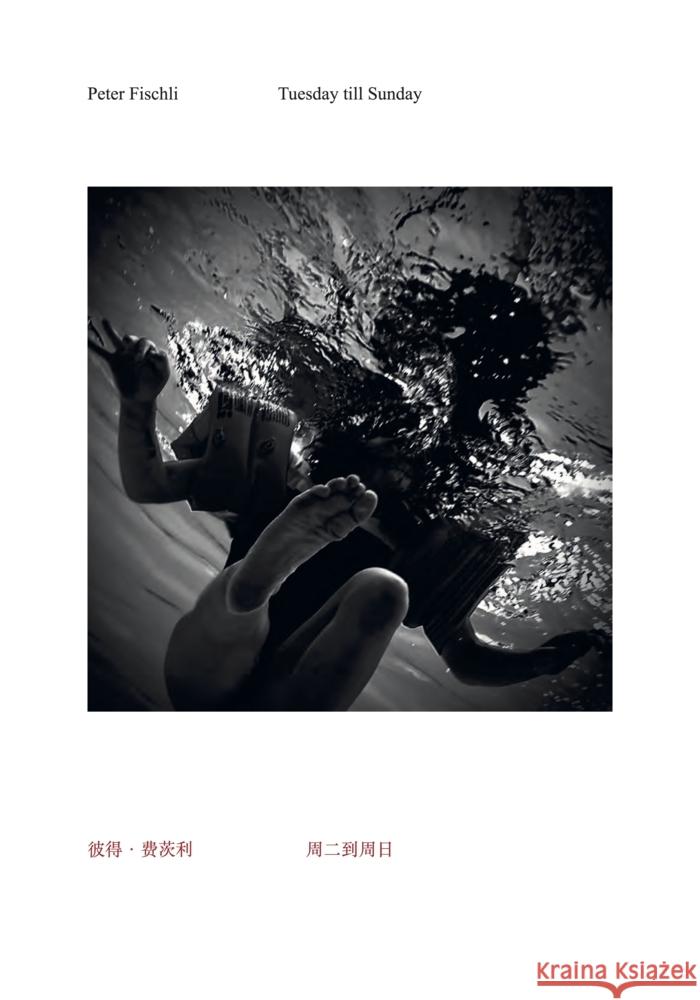 Peter Fischli: Tuesday Till Sunday  9783753307299 Walther Konig Verlag - książka