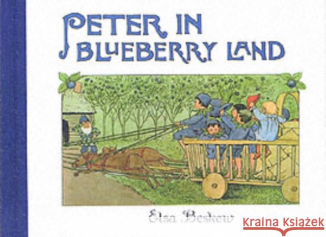 Peter in Blueberry Land Elsa Beskow 9780863154980 Floris Books - książka