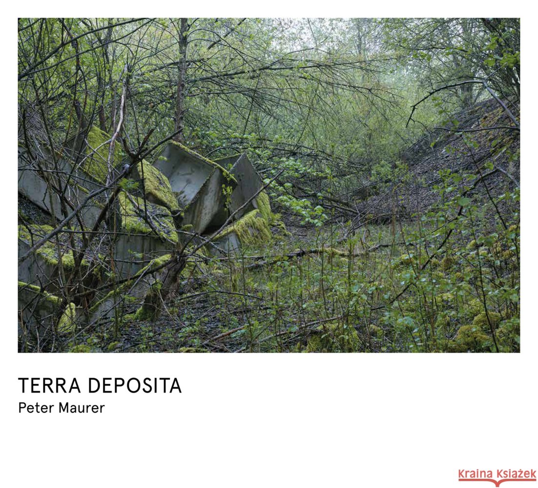 Peter Maurer - Terra Deposita Maurer, Peter 9783039422692 Scheidegger & Spiess - książka