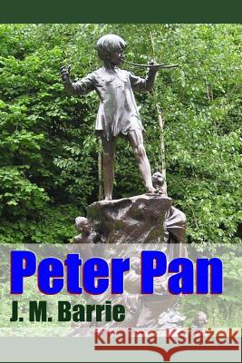 Peter Pan J. M. Barrie 9781387048816 Lulu.com - książka