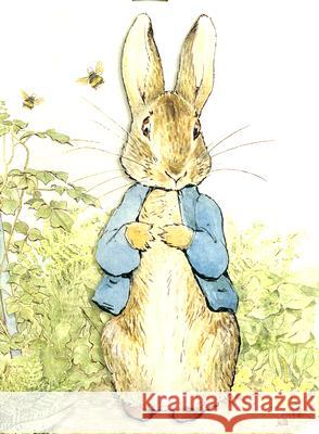 Peter Rabbit Beatrix Potter 9780723259565 Frederick Warne and Company - książka