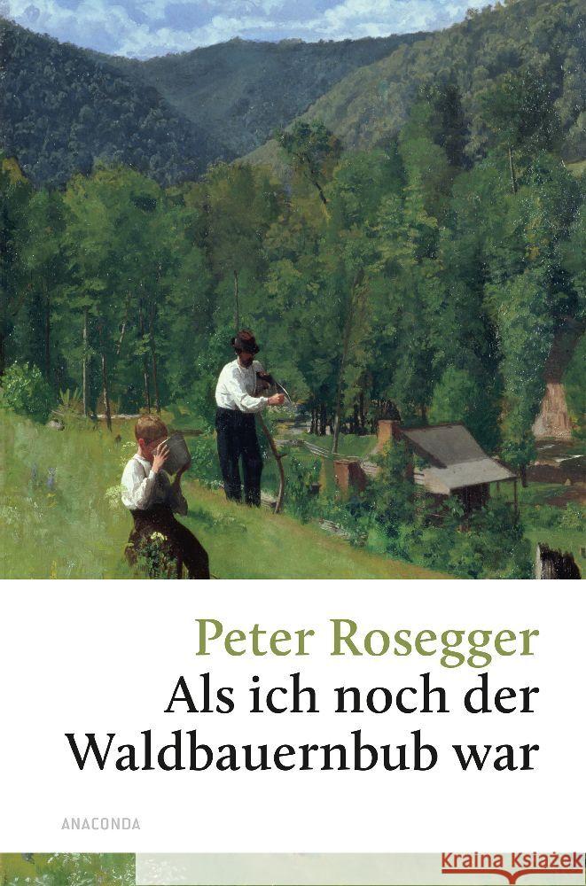 Peter Rosegger, Als ich noch der Waldbauernbub war Rosegger, Peter 9783730613054 Anaconda - książka