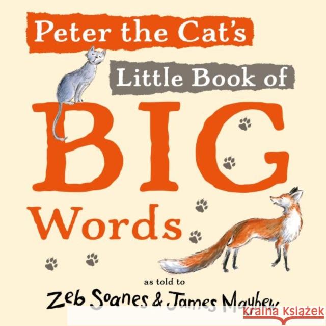 Peter the Cat's Little Book of Big Words Zeb Soanes 9781802580242 Graffeg Limited - książka