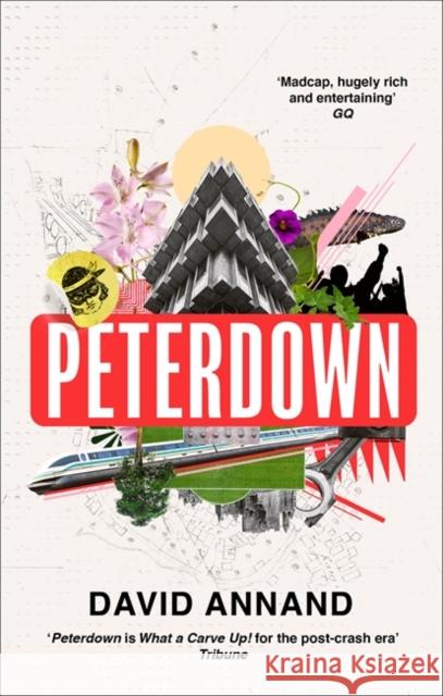 Peterdown: An epic social satire, full of comedy, character and anarchic radicalism David Annand 9781472155849 Little, Brown Book Group - książka