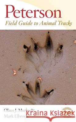 Peterson Field Guide to Animal Tracks: Third Edition Olaus J. Murie Mark Elbroch Olaus J. Murie 9780618517435 Houghton Mifflin Company - książka