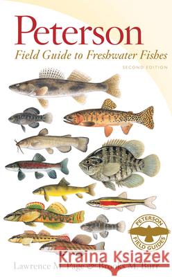 Peterson Field Guide to Freshwater Fishes, Second Edition Lawrence M. Page Brooks M. Burr Eugene C. Beckham 9780547242064 Houghton Mifflin Harcourt (HMH) - książka