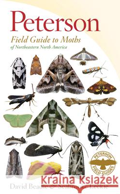 Peterson Field Guide to Moths of Northeastern North America David Beadle Seabrooke Leckie 9780547238487 Houghton Mifflin Harcourt (HMH) - książka