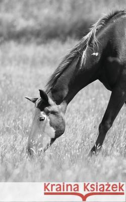 Petite Equine Journal: Equine Themed Journal or Notebook Wunderlich, Jordan 9780464688433 Blurb - książka