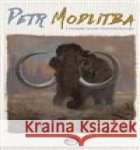 Petr Modlitba Vladimír Prokop 9788072641994 Toužimský a Moravec - książka