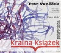 Petr Vaněček - Pomalý pohyb ticha Petr Volf 9788074374234 KANT - książka