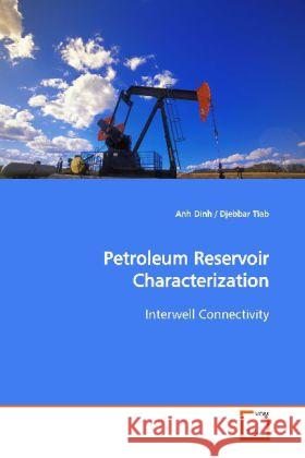 Petroleum Reservoir Characterization : Interwell Connectivity Dinh, Anh 9783639149555 VDM Verlag Dr. Müller - książka