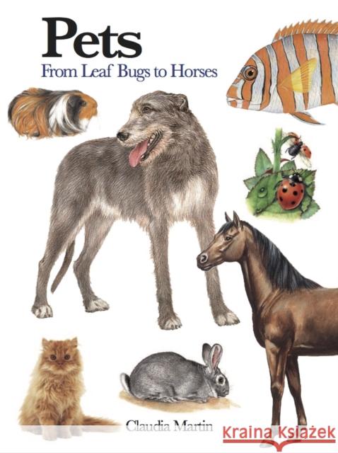 Pets: 300 Small Animals Claudia Martin 9781782749417 Amber Books - książka