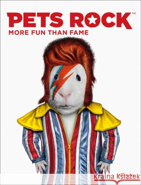 Pets Rock: More Fun than Fame Takkoda 9783961712489 teNeues Publishing UK Ltd - książka