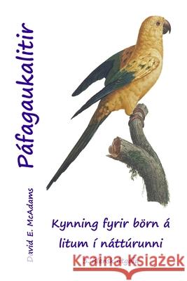 P?fagaukalitir: Kynning fyrir b?rn ? litum ? n?tt?runni David E. McAdams 9781632708458 Life Is a Story Problem LLC - książka