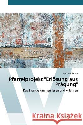 Pfarreiprojekt Erlösung aus Prägung Furrer Meinrad 9783639791884 AV Akademikerverlag - książka