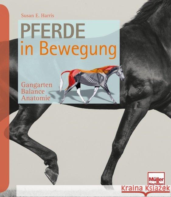 Pferde in Bewegung : Gangarten - Balance - Anatomie Harris, Susan E. 9783275020300 Müller Rüschlikon - książka