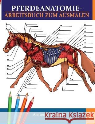 Pferdeanatomie-Arbeitsbuch zum Ausmalen: Unglaublich detailliertes Pferdeanatomie-Arbeitsbuch zum Ausmalen mit Selbsttest Das perfekte Geschenk für Ti Academy, Anatomy 9781804210949 Muze Publishing - książka