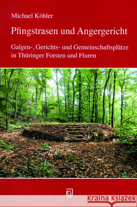 Pfingstrasen und Angergericht Köhler, Michael 9783941791183 Jenzig - książka