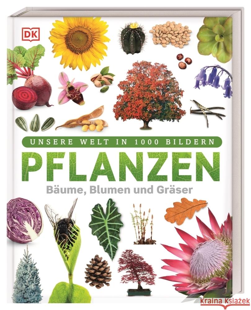 Pflanzen : Bäume, Blumen und Gräser in über 1000 Bildern Jose, Sarah 9783831039265 Dorling Kindersley - książka