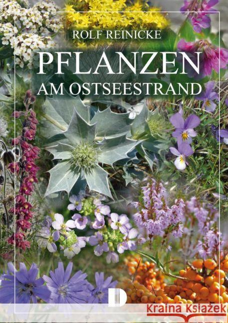 Pflanzen am Ostseestrand Reinicke, Rolf 9783944102139 Demmler-Verlag - książka