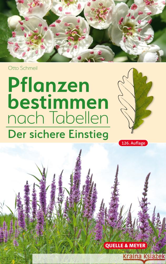 Pflanzen bestimmen nach Tabellen Schmeil, Otto, Koltzenburg, Michael 9783494019123 Quelle & Meyer - książka