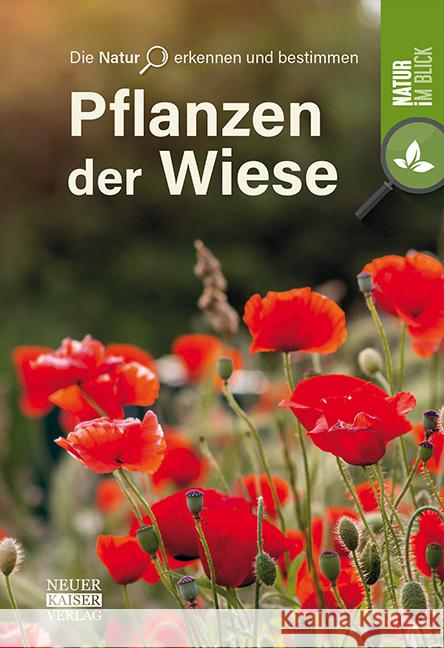 Pflanzen der Wiese  9783846805077 Neuer Kaiser Verlag, Fränkisch-Crumbach - książka