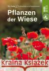 Pflanzen der Wiese  9783846805077 Neuer Kaiser Verlag, Fränkisch-Crumbach