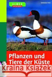 Pflanzen und Tiere der Küste Pott, Christian   9783800148905 Ulmer (Eugen) - książka
