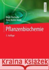 Pflanzenbiochemie Hans Walter Heldt Birgit Piechulla 9783662443972 Springer Spektrum - książka