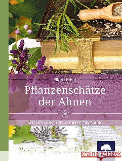 Pflanzenschätze der Ahnen : Alte Heilkunst und aktuelle Forschung. Rezepte und Tipps zum Anbau Huber, Ellen 9783990252864 Freya - książka